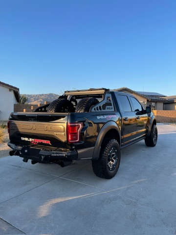 Shelby Raptor